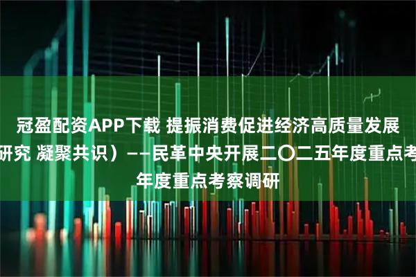 冠盈配资APP下载 提振消费促进经济高质量发展（调查研究 凝聚共识）——民革中央开展二〇二五年度重点考察调研