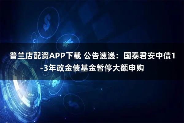 普兰店配资APP下载 公告速递：国泰君安中债1-3年政金债基金暂停大额申购
