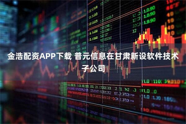 金浩配资APP下载 普元信息在甘肃新设软件技术子公司
