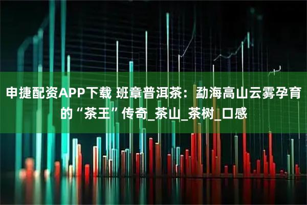 申捷配资APP下载 班章普洱茶：勐海高山云雾孕育的“茶王”传奇_茶山_茶树_口感